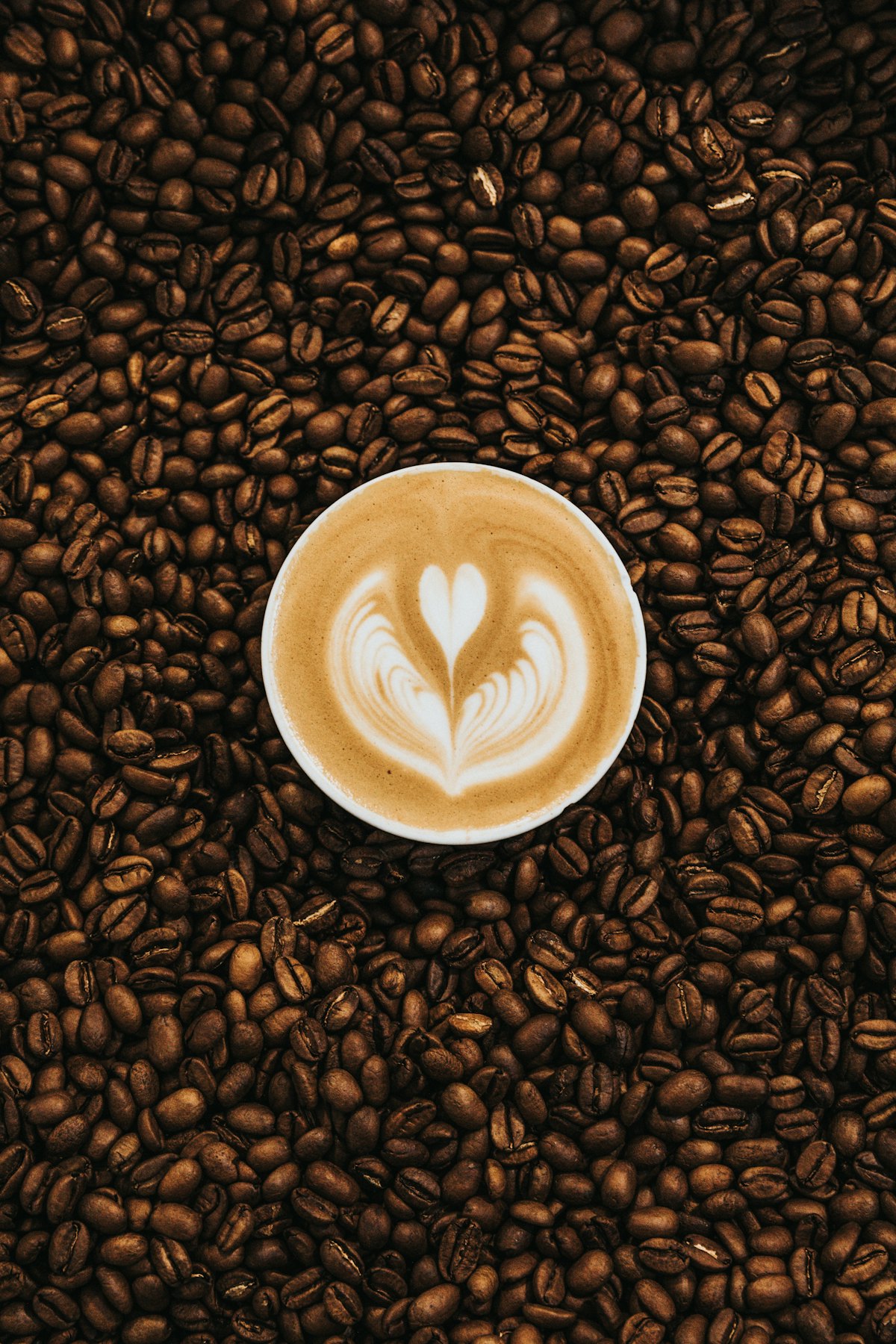 Boulanger machine à café : notre avis sur l'enseigne pour acheter un broyeur